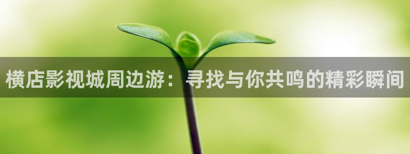 97影院理论午夜伦欧美