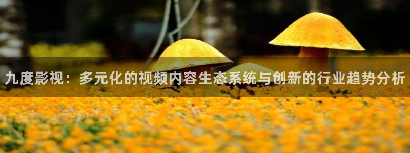 韩国电影理论电影：九度影视：多元化的视频内容生态系统与创新的行业趋势分析