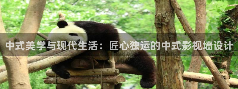 理论影片在线播放：中式美学与现代生活：匠心独运的中式影视墙设计