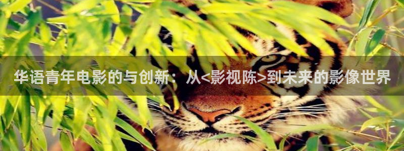 韩国理论电影在线观看bd高清：华语青年电影的与创新：从<影视陈>到未来的影像世界