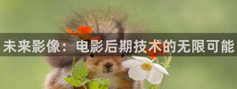 木瓜影院最新理论片