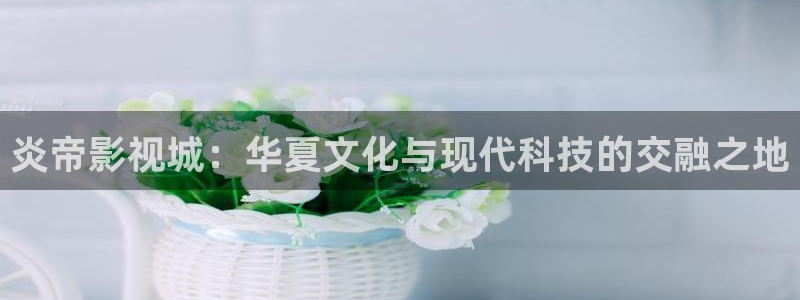 免费观看80e理论电影