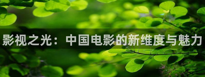 欧美理论电影网站：影视之光：中国电影的新维度与魅力