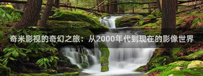 成年理论天堂电影