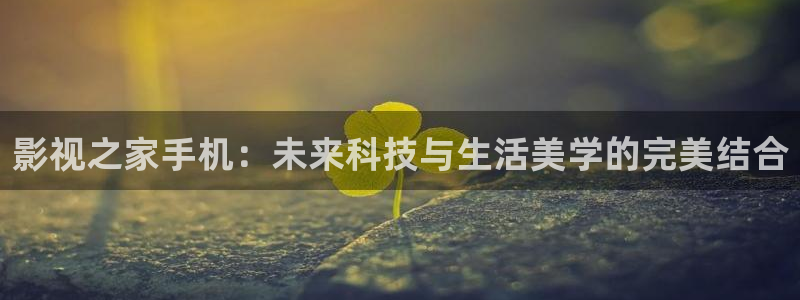 亚洲理论电影三区