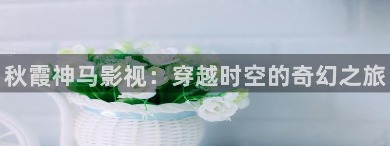 理论伦理片